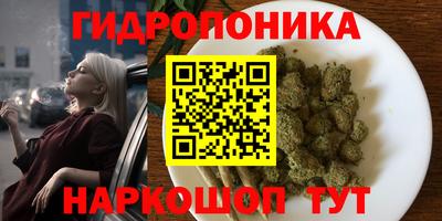 jwh Камышлов