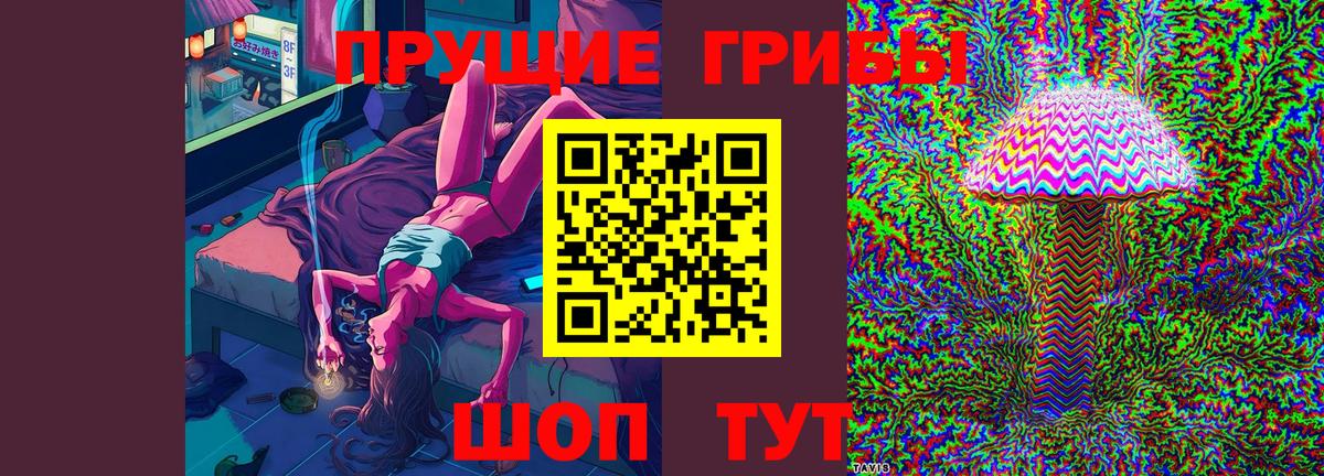 ГАШИШ Дивногорск