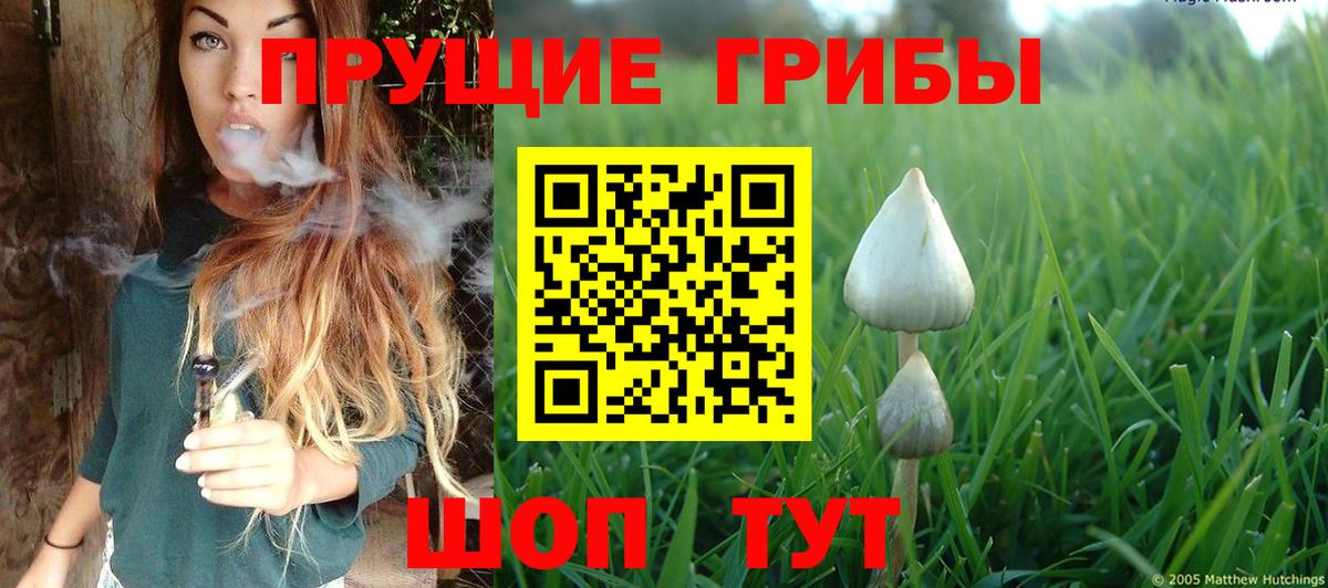 Дивногорск  Псилоцибиновые грибы Magic Shrooms  Вход с VPN 